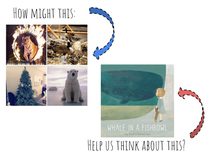 screen shot 2019-01-30 at 10.11.08 am