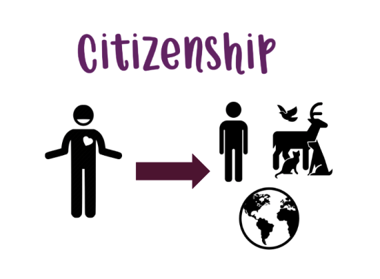 Screen Shot 2020-01-24 at 7.18.45 PM