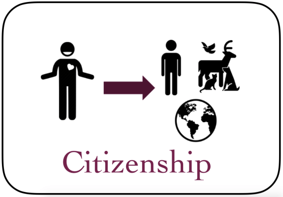 Screen Shot 2020-03-03 at 9.52.31 AM